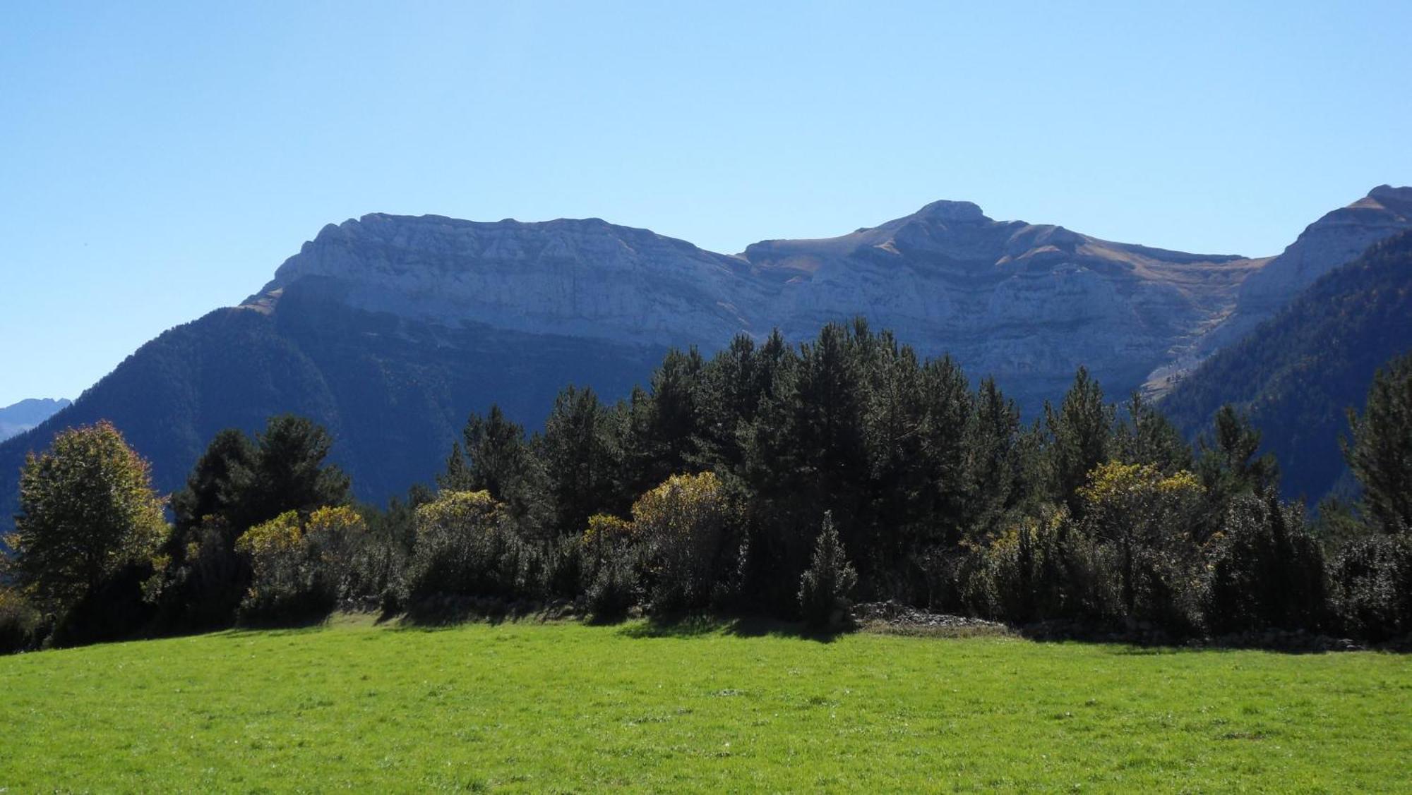 Camping Pineta Hotel Bielsa Bagian luar foto